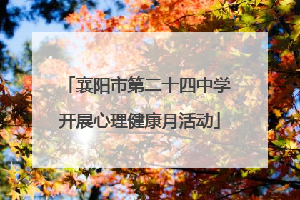 襄阳市第二十四中学开展心理健康月活动