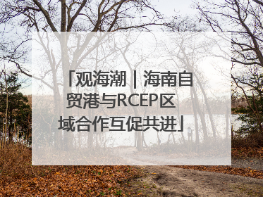观海潮｜海南自贸港与RCEP区域合作互促共进