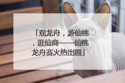 观龙舟，游仙桃，逛仙商——仙桃龙舟赛火热出圈