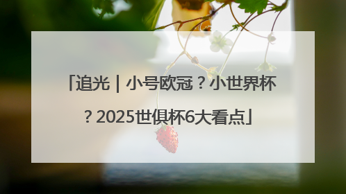 追光｜小号欧冠？小世界杯？2025世俱杯6大看点