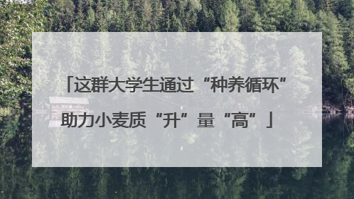 这群大学生通过“种养循环”助力小麦质“升”量“高”