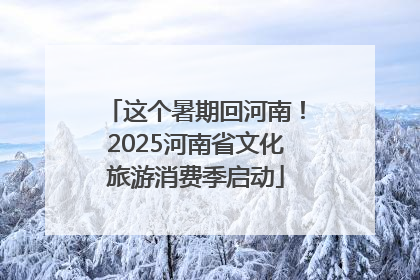 这个暑期回河南！2025河南省文化旅游消费季启动