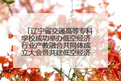 辽宁省交通高等专科学校成功举办低空经济行业产教融合共同体成立大会暨共建低空经济产教融合新生态论坛