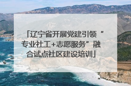 辽宁省开展党建引领“专业社工+志愿服务”融合试点社区建设培训