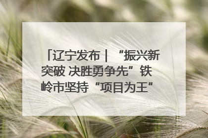 辽宁发布｜“振兴新突破 决胜勇争先”铁岭市坚持“项目为王”推进经济高质量发展