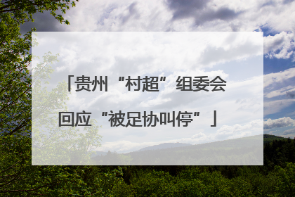 贵州“村超”组委会回应“被足协叫停”