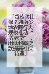 贷款买社保？湖南多地农商行大规模推动“养老贷”，用低利率贷款提高社保待遇
