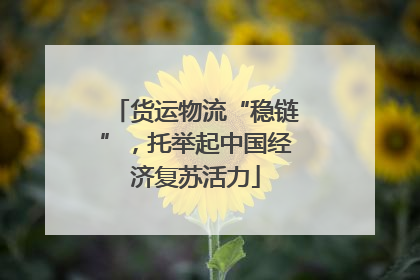 货运物流“稳链”，托举起中国经济复苏活力