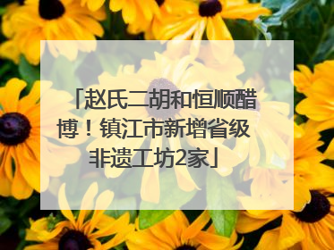赵氏二胡和恒顺醋博！镇江市新增省级非遗工坊2家