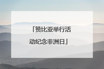 赞比亚举行活动纪念非洲日