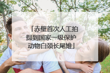 赤壁首次人工拍摄到国家一级保护动物白颈长尾雉