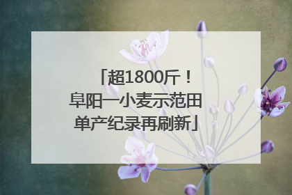 超1800斤！阜阳一小麦示范田单产纪录再刷新