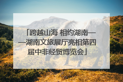 跨越山海 相约湖南——湖南文旅展厅亮相第四届中非经贸博览会