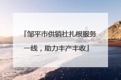 邹平市供销社扎根服务一线，助力丰产丰收