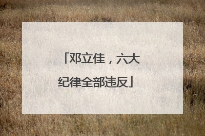 邓立佳，六大纪律全部违反
