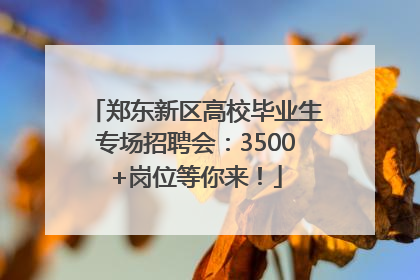 郑东新区高校毕业生专场招聘会：3500+岗位等你来！