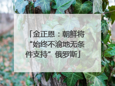 金正恩：朝鲜将“始终不渝地无条件支持”俄罗斯