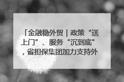 金融稳外贸｜政策“送上门”、服务“沉到底”，省担保集团加力支持外经贸高质量发展