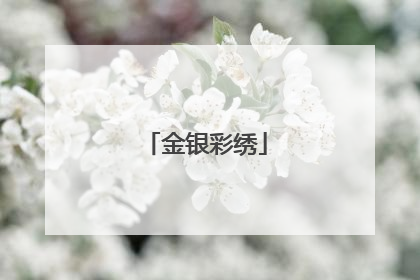 金银彩绣