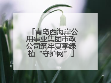 青岛西海岸公用事业集团市政公司筑牢夏季绿植“守护网”