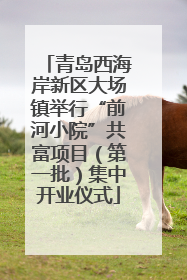青岛西海岸新区大场镇举行“前河小院”共富项目（第一批）集中开业仪式