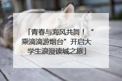 青春与海风共舞！“乘滴滴游烟台”开启大学生浪漫读城之旅
