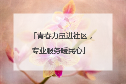 青春力量进社区，专业服务暖民心