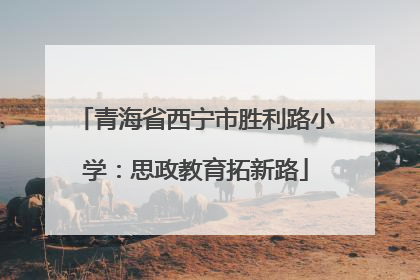 青海省西宁市胜利路小学：思政教育拓新路