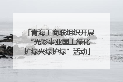 青海工商联组织开展“光彩事业国土绿化·扩绿兴绿护绿”活动