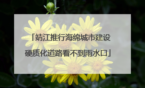 靖江推行海绵城市建设 硬质化道路看不到雨水口
