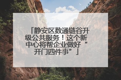 静安区数通链谷升级公共服务！这个新中心将帮企业做好“开门四件事”