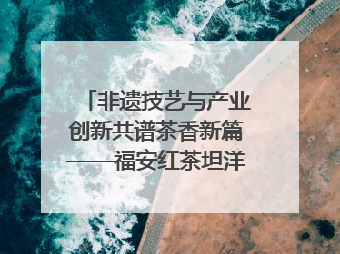 非遗技艺与产业创新共谱茶香新篇——福安红茶坦洋工夫专场推介会在京举办