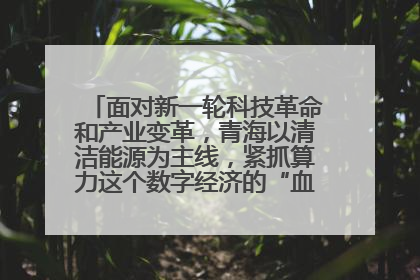 面对新一轮科技革命和产业变革,青海以清洁能源为主线,紧抓算力这个数字经济的“血液”、科技主权的“筹码”、产业升级的“杠杆”、绿色转型的“支点”,勇于撬动国家“双碳”战略、“东数西算”工程重大发展新机遇,点亮绿色算电协同新赛道,蹚出一条符合本地实际的高质量发展之路——青海:“绿色算力” 锚定“东数西算”国家战略布局