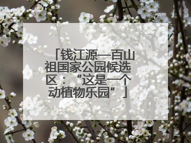 钱江源—百山祖国家公园候选区：“这是一个动植物乐园”
