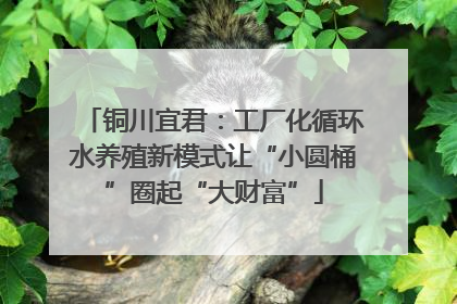 铜川宜君：工厂化循环水养殖新模式让“小圆桶”圈起“大财富”