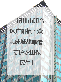 铜川市印台区广阳镇：众志成城战旱情 守护农田保民生