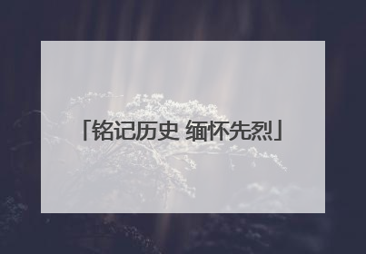 铭记历史 缅怀先烈
