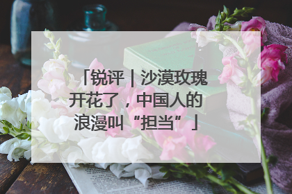 锐评｜沙漠玫瑰开花了，中国人的浪漫叫“担当”