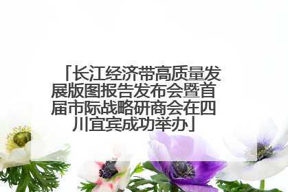 长江经济带高质量发展版图报告发布会暨首届市际战略研商会在四川宜宾成功举办