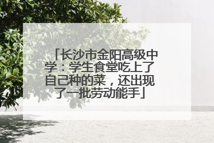 长沙市金阳高级中学：学生食堂吃上了自己种的菜，还出现了一批劳动能手