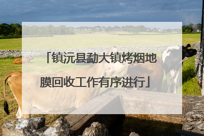 镇沅县勐大镇烤烟地膜回收工作有序进行