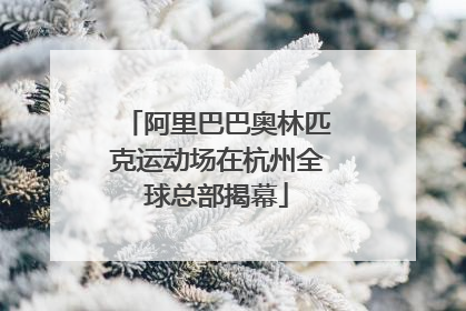 阿里巴巴奥林匹克运动场在杭州全球总部揭幕