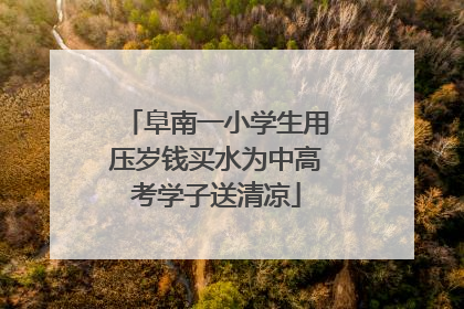 阜南一小学生用压岁钱买水为中高考学子送清凉