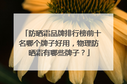防晒霜品牌排行榜前十名哪个牌子好用，物理防晒霜有哪些牌子？