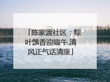 陈家渡社区：粽叶飘香迎端午 清风正气话清廉