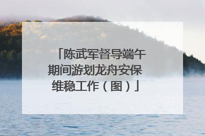 陈武军督导端午期间游划龙舟安保维稳工作（图）