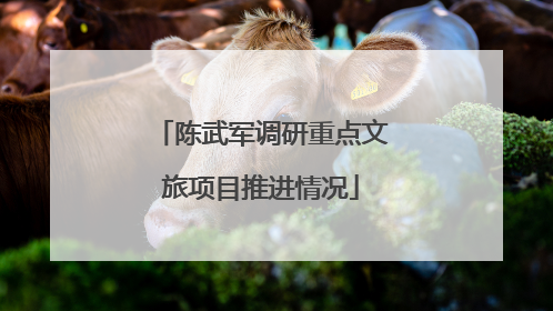 陈武军调研重点文旅项目推进情况
