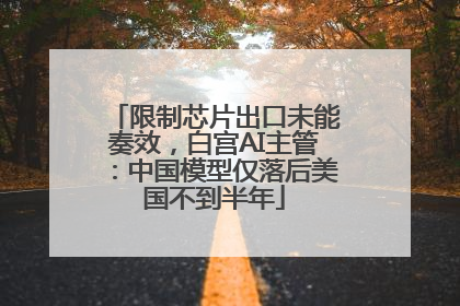 限制芯片出口未能奏效，白宫AI主管：中国模型仅落后美国不到半年