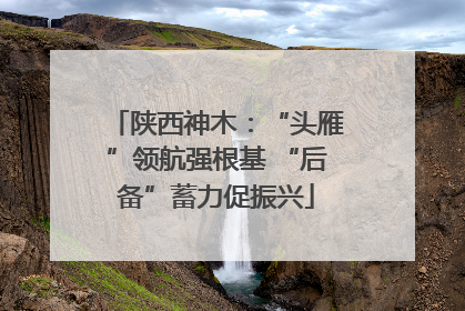 陕西神木：“头雁”领航强根基 “后备”蓄力促振兴
