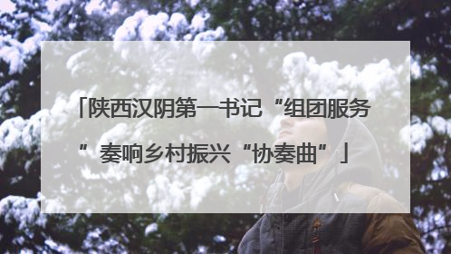 陕西汉阴第一书记“组团服务”奏响乡村振兴“协奏曲”